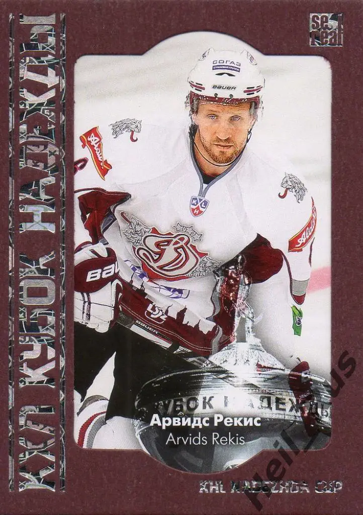 Хоккей. Карточка Арвидс Рекис (Динамо Рига) КХЛ/KHL сезон 2013/14 SeReal