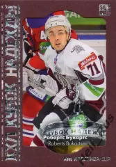 Хоккей. Карточка Робертс Букартс (Динамо Рига) КХЛ/KHL сезон 2013/14 SeReal