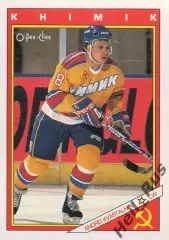 Карточка Дмитрий Квартальнов Химик Воскресенск/Ак Барс/Динамо Минск/ЦСКА НХЛ/КХЛ