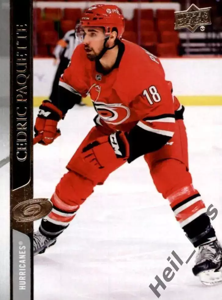 Карточка Седрик Пакетт Carolina Hurricanes/Каролина, Динамо Москва/Минск НХЛ/КХЛ