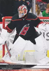 Карточка Петр Кочетков Carolina Hurricanes/Каролина, СКА, Дизель, Витязь НХЛ/КХЛ