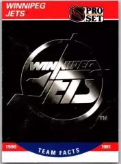 Хоккей. Карточка Логотип/Эмблема Winnipeg Jets/Виннипег Джетс НХЛ/NHL 1990-1991