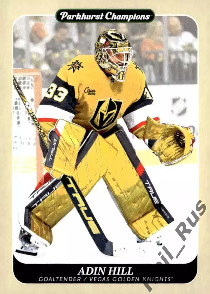 Хоккей. Карточка Adin Hill/Эдин Хилл Vegas Golden Knights/Вегас НХЛ/NHL 2023-24