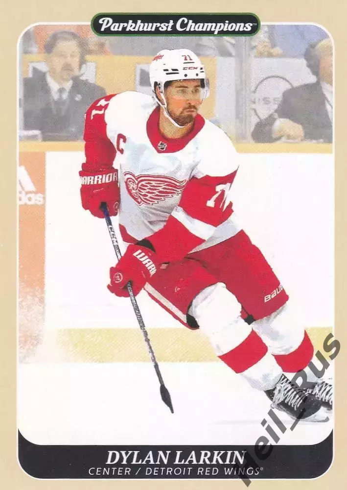 Карточка Dylan Larkin/Дилан Ларкин (Detroit Red Wings/Детройт Ред Уингз) НХЛ NHL