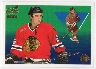 Карточка Steve Sullivan/Стив Салливан Chicago Blackhawks/Чикаго Блэкхокс НХЛ/NHL