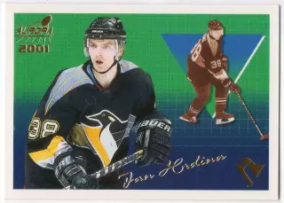 Карточка Jan Hrdina/Ян Грдина (Pittsburgh Penguins/Питтсбург Пингвинз) НХЛ/NHL