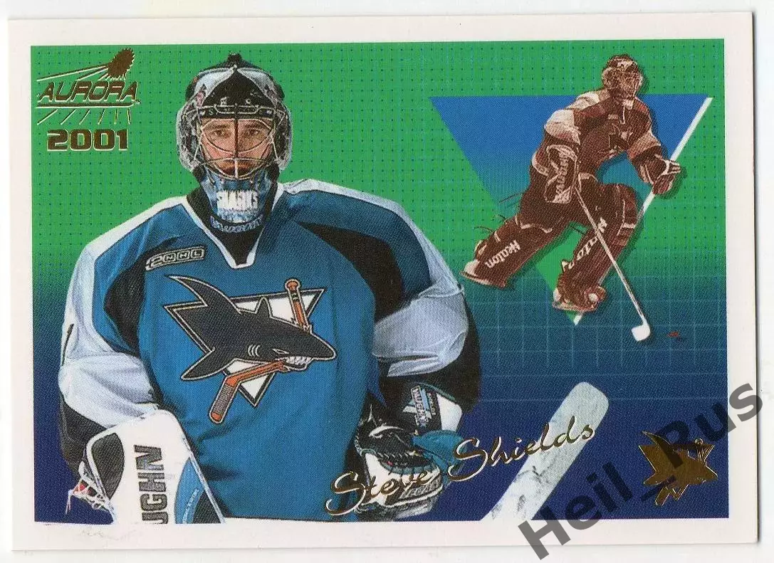 Хоккей. Карточка Steve Shields/Стив Шилдс San Jose Sharks/Сан-Хосе Шаркс НХЛ/NHL
