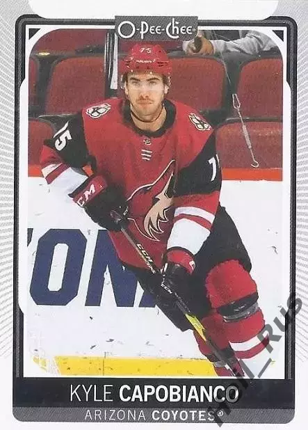 Хоккей. Карточка Kyle Capobianco/Кайл Капобьянко Arizona Coyotes/Аризона НХЛ/NHL