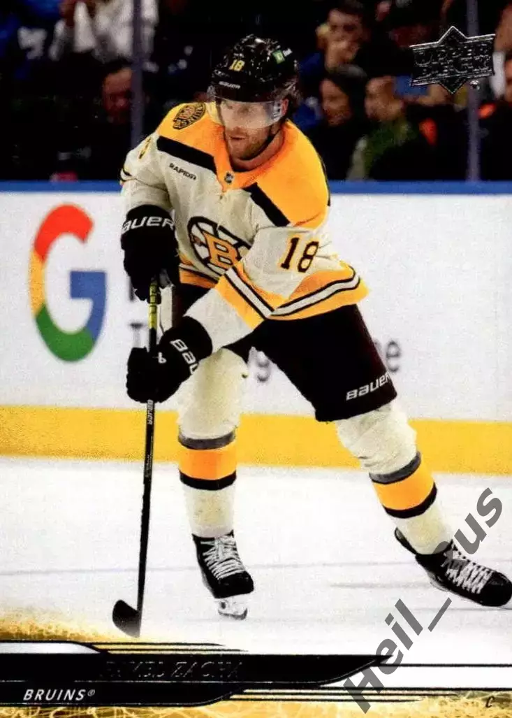 Хоккей. Карточка Pavel Zacha/Павел Заха (Boston Bruins/Бостон Брюинз) НХЛ/NHL