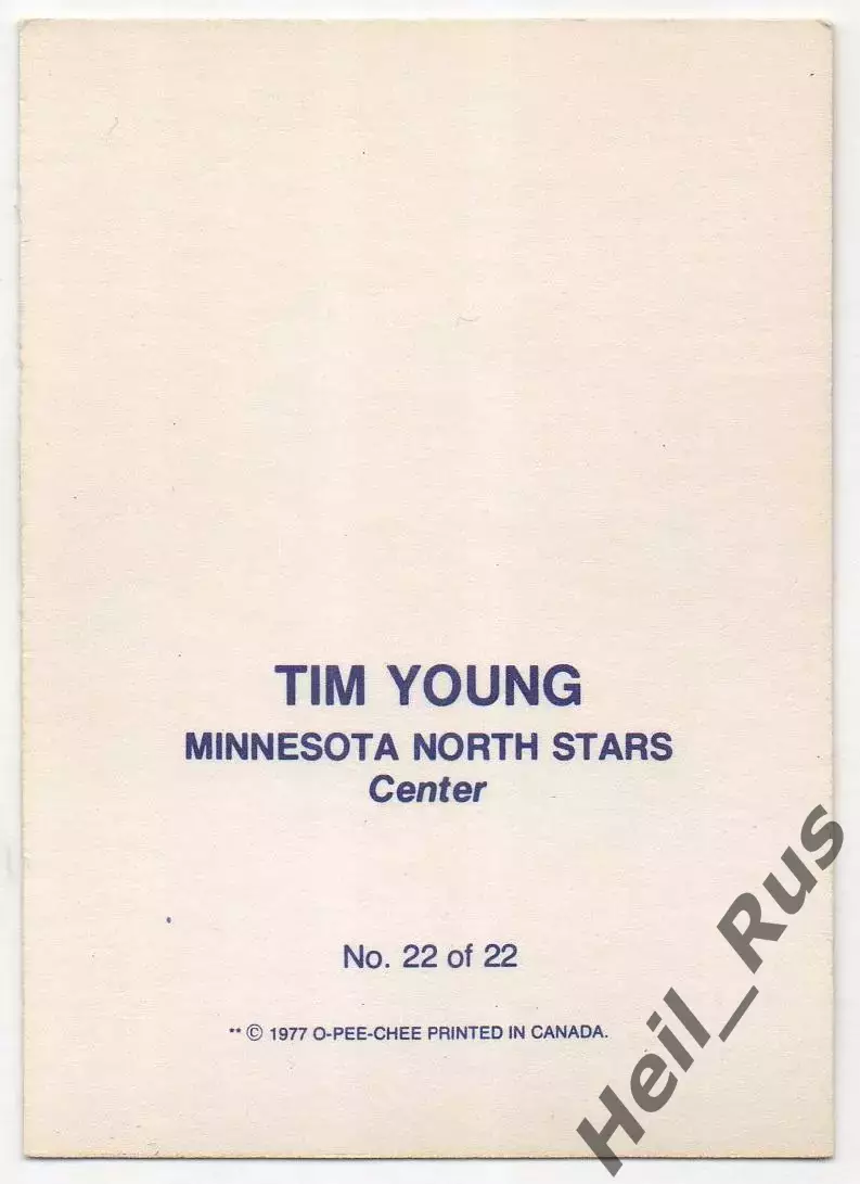 Карточка Tim Young/Тим Янг (Minnesota North Stars/Миннесота Норт Старз) НХЛ/NHL 1