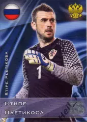 Футбол. Карточка Стипе Плетикоса (Хорватия, Спартак Москва/Ростов/Шахтер Донецк)