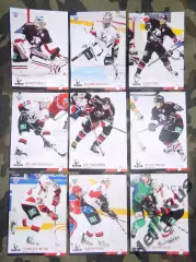 Хоккей. Трактор Челябинск сет из 9 карточек КХЛ сезона 2014/15 SeReal Демченко