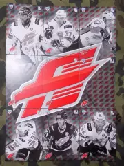 Хоккей. Карточки. Логотип Авангард Омск (9 карт) КХЛ/KHL сезон 2013/14 SeReal