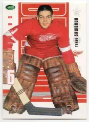 Хоккей Карточка Sawchuk/Терри Савчук Detroit Red Wings/Детройт Ред Уингз НХЛ/NHL