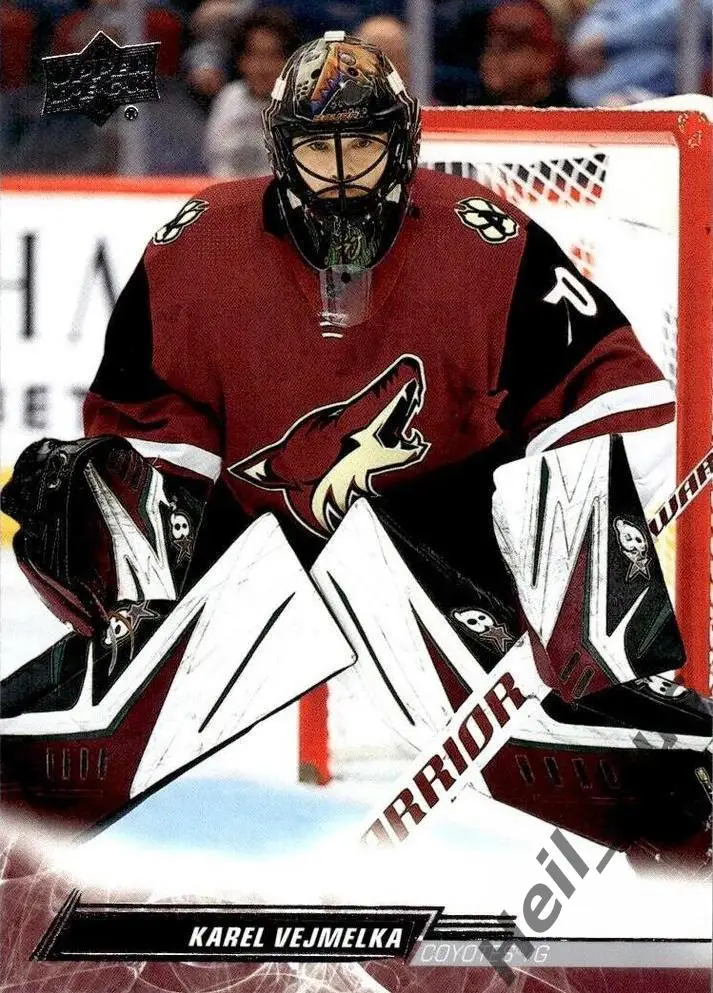 Хоккей. Карточка Karel Vejmelka/Карел Веймелка (Arizona Coyotes/Аризона) НХЛ/NHL