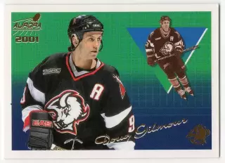 Хоккей. Карточка Doug Gilmour/Дуг Гилмор (Buffalo Sabres/Баффало Сейбрз) НХЛ/NHL
