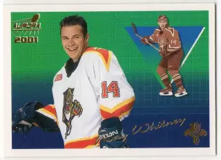 Хоккей. Карточка Ray Whitney/Рэй Уитни Florida Panthers/Флорида Пантерз НХЛ/NHL