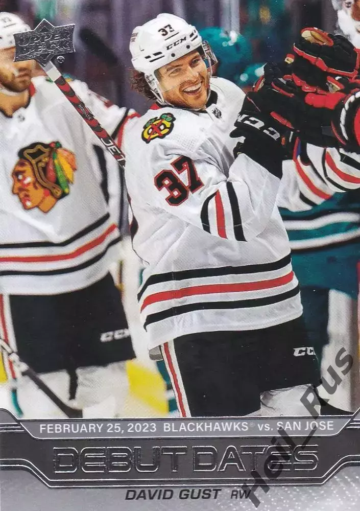 Хоккей Карточка David Gust/Дэвид Гаст Chicago Blackhawks/Чикаго Блэкхокс НХЛ/NHL