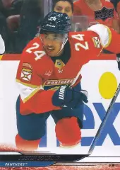 Карточка Justin Sourdif/Джастин Сурдиф Florida Panthers/Флорида Пантерз НХЛ/NHL