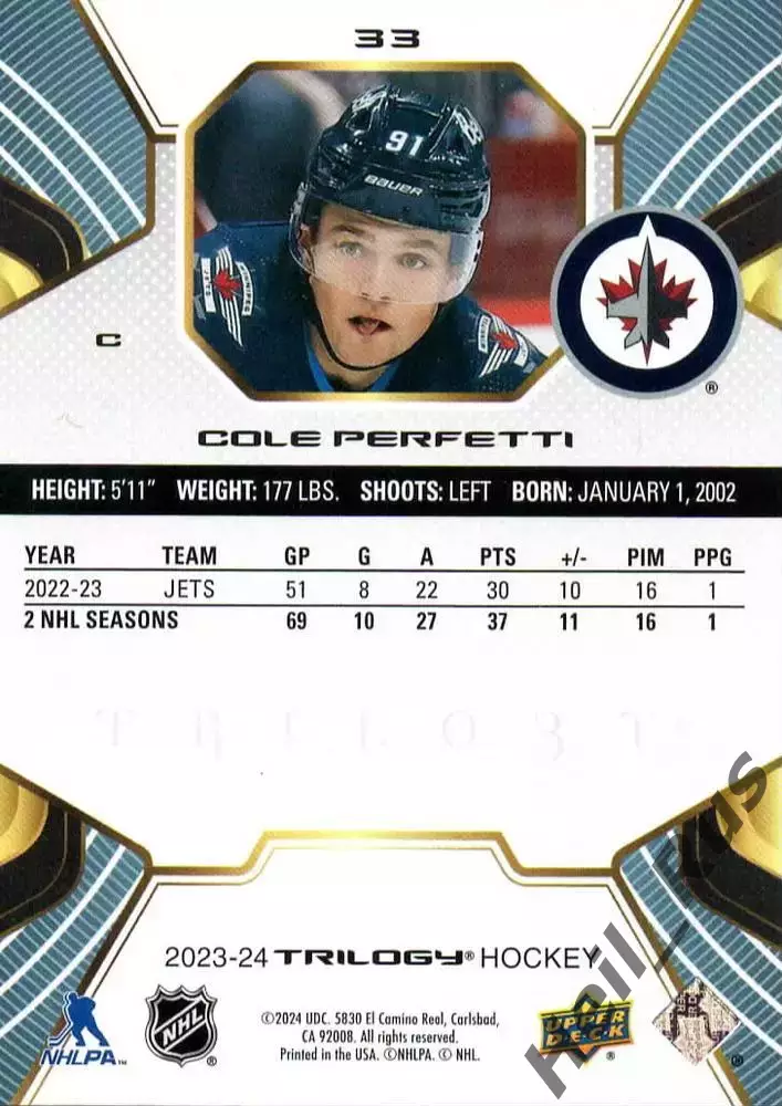 Хоккей Карточка Cole Perfetti/Коул Перфетти Winnipeg Jets/Виннипег Джетс NHL НХЛ 1