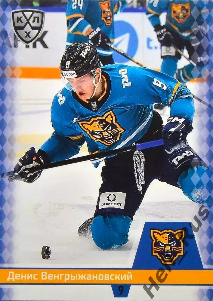 Хоккей. Карточка Денис Венгрыжановский (ХК Сочи) КХЛ/KHL сезон 2025/26 SeReal