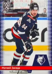 Хоккей Карточка Матвей Заседа Нефтехимик Нижнекамск КХЛ/KHL сезон 2025/26 SeReal