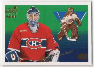 Карточка Jeff Hackett/Джефф Хэкетт Montreal Canadiens/Монреаль Канадиенс НХЛ/NHL