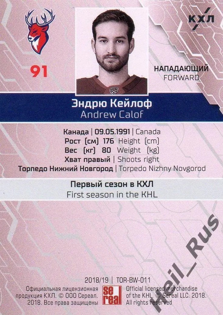 Хоккей. Карточка Эндрю Кейлоф (Торпедо Нижний Новгород) КХЛ/KHL сезон 2018/19 1