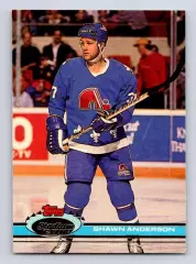 Карточка Shawn Anderson/Шон Андерсон (Quebec Nordiques/Квебек Нордикс) НХЛ/NHL