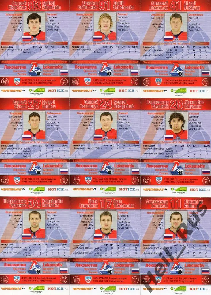 Хоккей Локомотив Ярославль 23 карточки 2010/11 SeReal КХЛ/KHL Рахунек, Демитра + 3