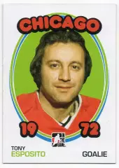 Карточка Tony Esposito/Тони Эспозито Chicago Blackhawks/Чикаго Блэкхокс NHL/НХЛ