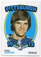 Хоккей; Карточка Denis Herron/Денис Херрон Pittsburgh Penguins/Питтсбург НХЛ/NHL