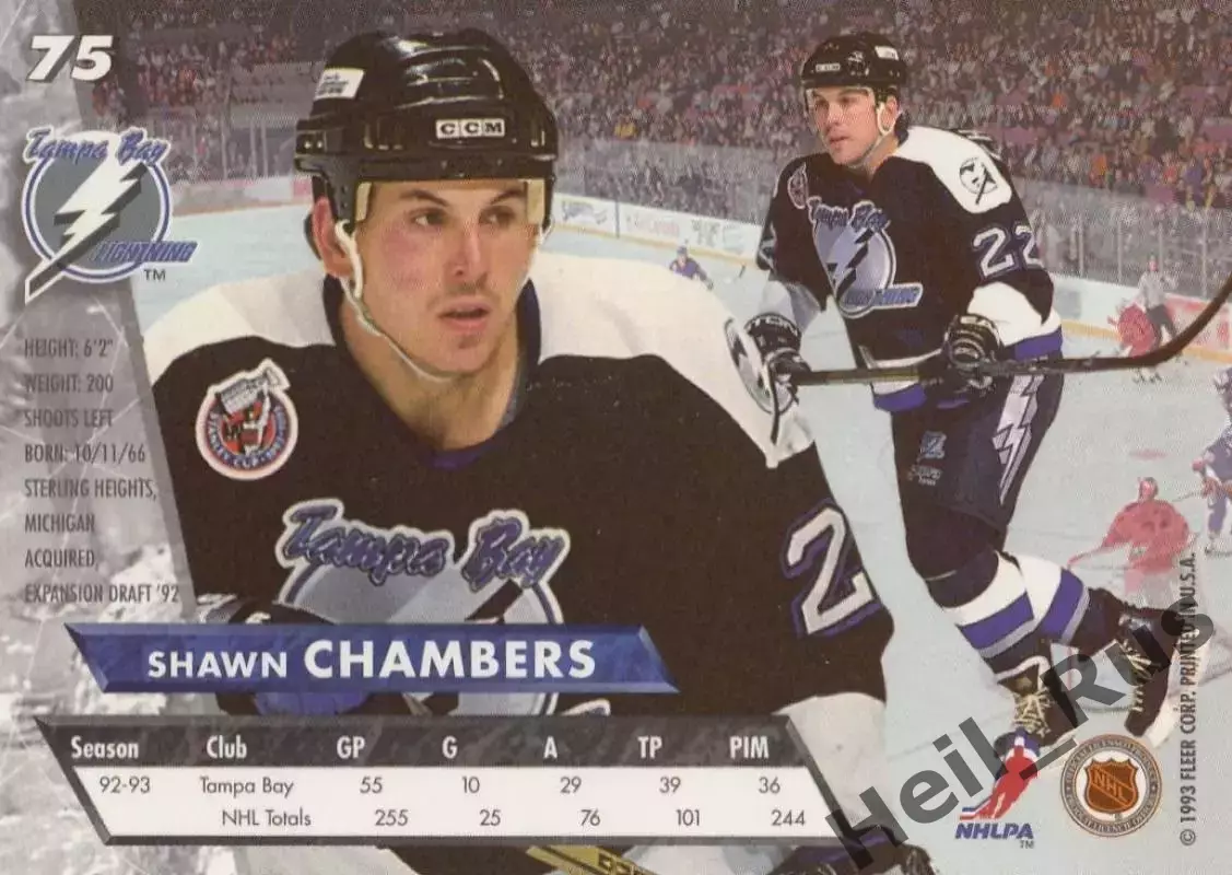 Хоккей Карточка Shawn Chambers/Шон Чемберс Tampa Bay Lightning/Тампа-Бэй NHL/НХЛ 1
