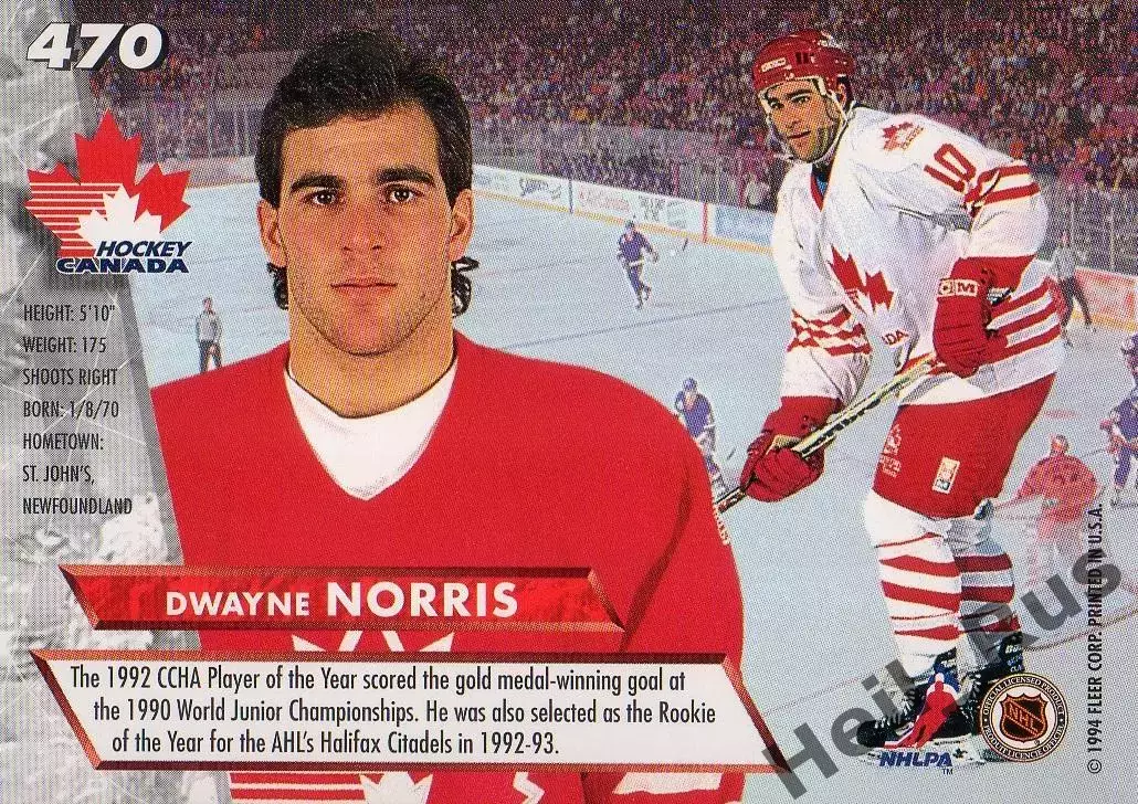 Хоккей. Карточка Dwayne Norris/Дуэйн Норрис (Team Canada/Канада) НХЛ/NHL 1993/94 1
