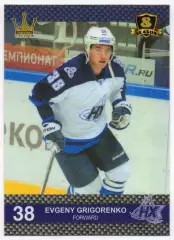 Хоккей Карточка Евгений Григоренко Нефтехимик Нижнекамск КХЛ/KHL 8 сезон 2015/16