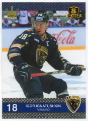 Хоккей. Карточка Игорь Игнатушкин (ХК Сочи) КХЛ/KHL 8 сезон 2015/16