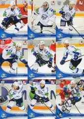 Хоккей. Барыс Астана 18 карточек КХЛ/KHL сезон 2013/14 SeReal (Боченски, Доус +)