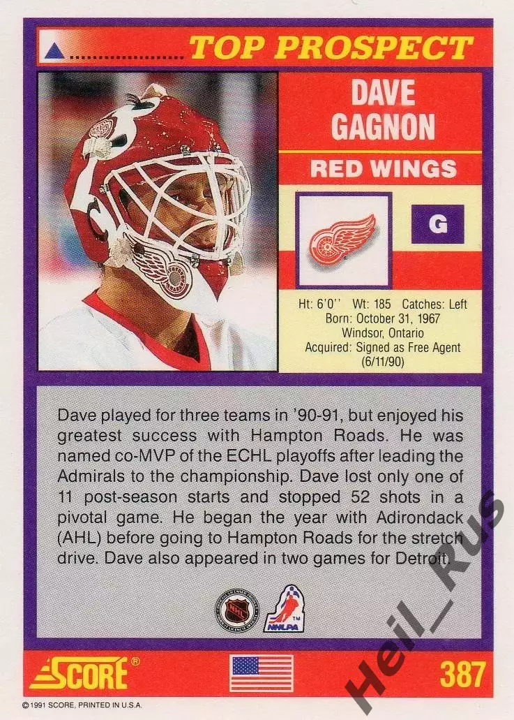 Карточка Dave Gagnon/Дэйв Ганьон (Detroit Red Wings/Детройт Ред Уингз) НХЛ/NHL 1