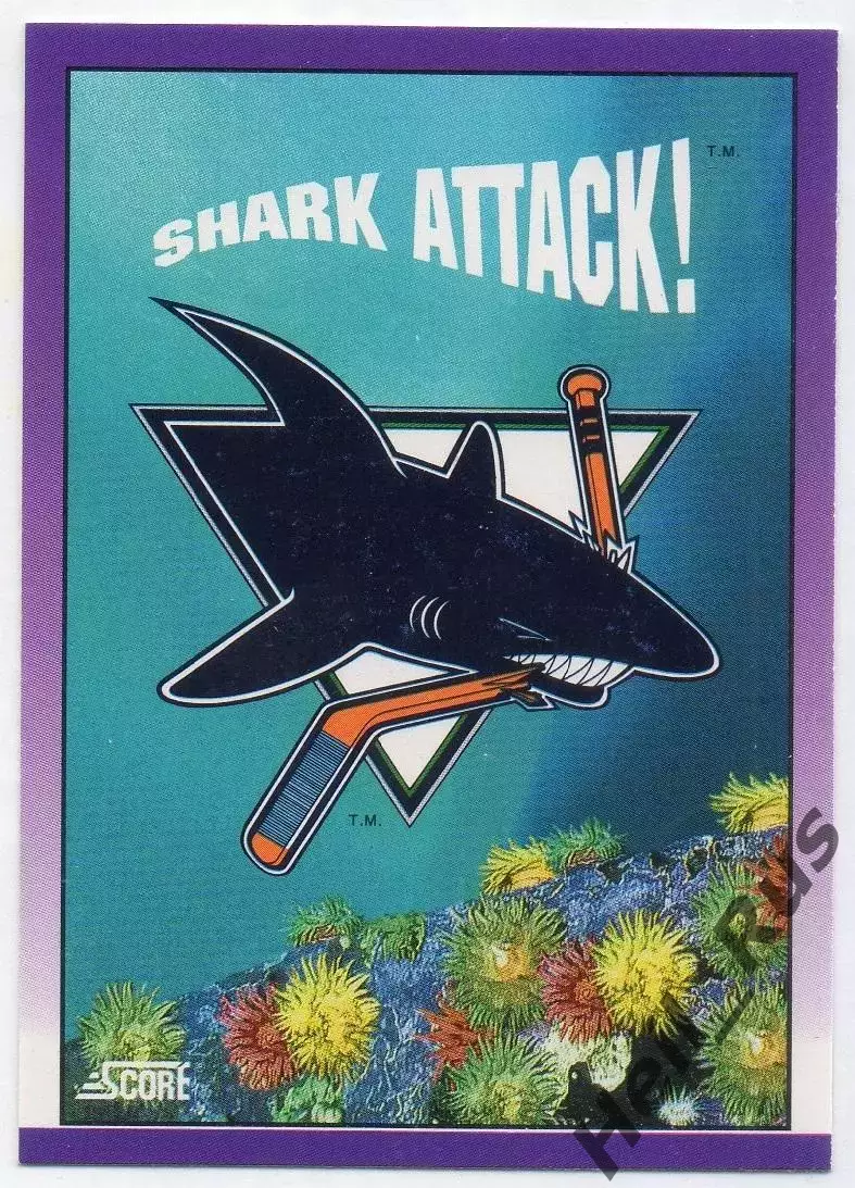 Хоккей. Карточка Shark Attack (San Jose Sharks/Сан-Хосе Шаркс) НХЛ/NHL 1991/1992
