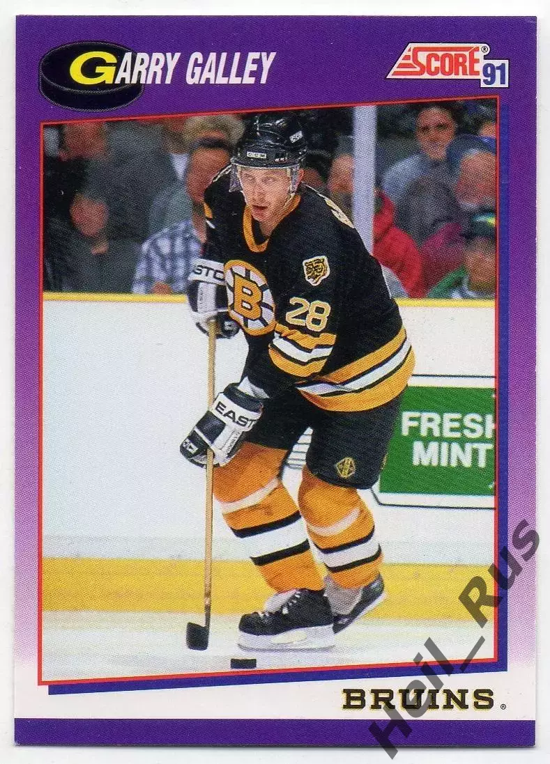 Хоккей Карточка Garry Galley / Гэрри Гэлли (Boston Bruins/Бостон Брюинз) НХЛ/NHL