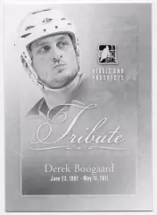 Карточка Derek Boogaard/Дерек Бугаард Миннесота Уайлд/Нью-Йорк Рейнджерс НХЛ/NHL