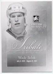 Карточка Wade Belak/Уэйд Белак (Нэшвилл Предаторз/Торонто Мейпл Лифс) НХЛ/NHL