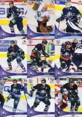 Хоккей. Медвешчак Загреб 18 карточек КХЛ/KHL сезон 2013/14 SeReal Чичу, Эллисон