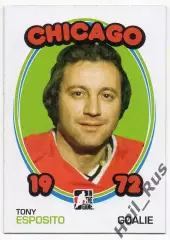 Карточка Tony Esposito/Тони Эспозито Chicago Blackhawks/Чикаго Блэкхокс NHL/НХЛ