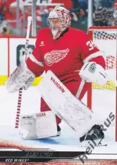 Карточка Alex Lyon/Алекс Лайон (Detroit Red Wings/Детройт Ред Уингз) НХЛ/NHL