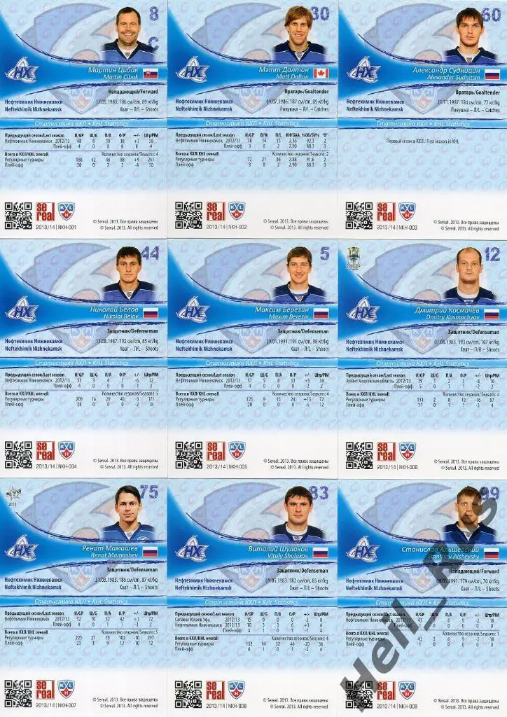Хоккей. КХЛ. Нефтехимик Нижнекамск 18 карточек сезона 2013/14 SeReal (Цибак и др 1