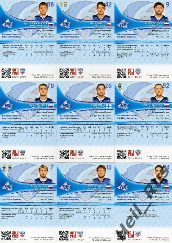 Хоккей. КХЛ. Нефтехимик Нижнекамск 18 карточек сезона 2013/14 SeReal (Цибак и др 3