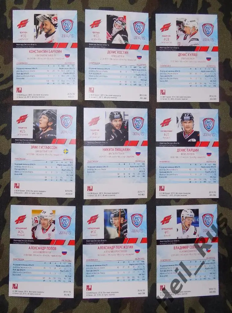 Хоккей. КХЛ. Авангард Омск, сет из 9 карточек сезона 2014/15 (SeReal) 1