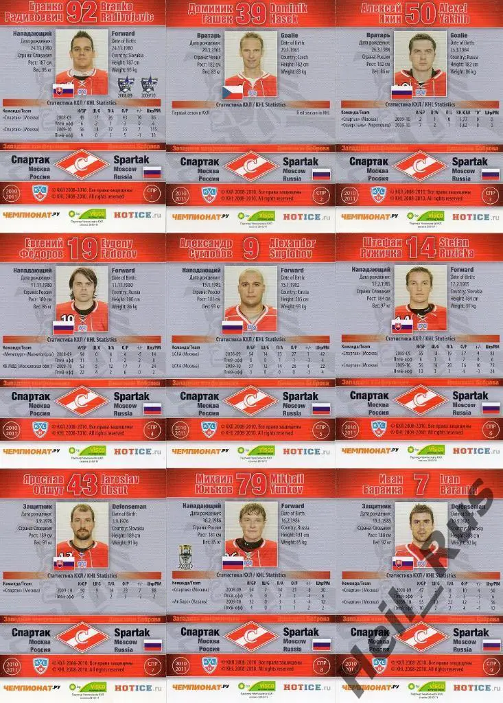 Хоккей. Спартак Москва 27 карточек 2010/11 SeReal КХЛ (Радивоевич, Гашек и др) 1