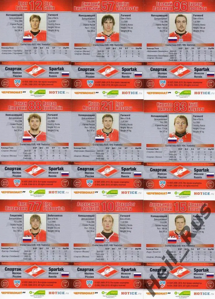 Хоккей. Спартак Москва 27 карточек 2010/11 SeReal КХЛ (Радивоевич, Гашек и др) 3